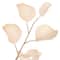3ft. Cream Eucalyptus Stem by Ashland®